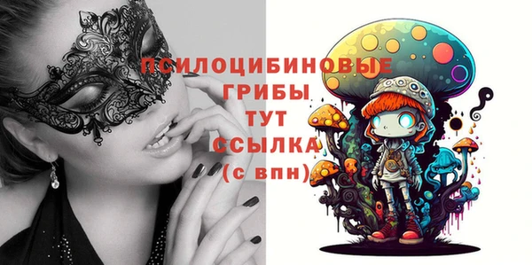 прущий лед Бронницы