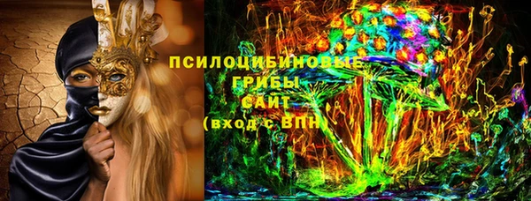 прущий лед Бородино