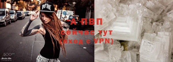 прущий лед Бородино